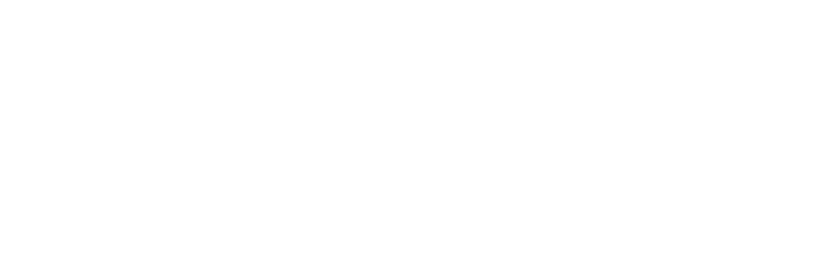 IronMaxx